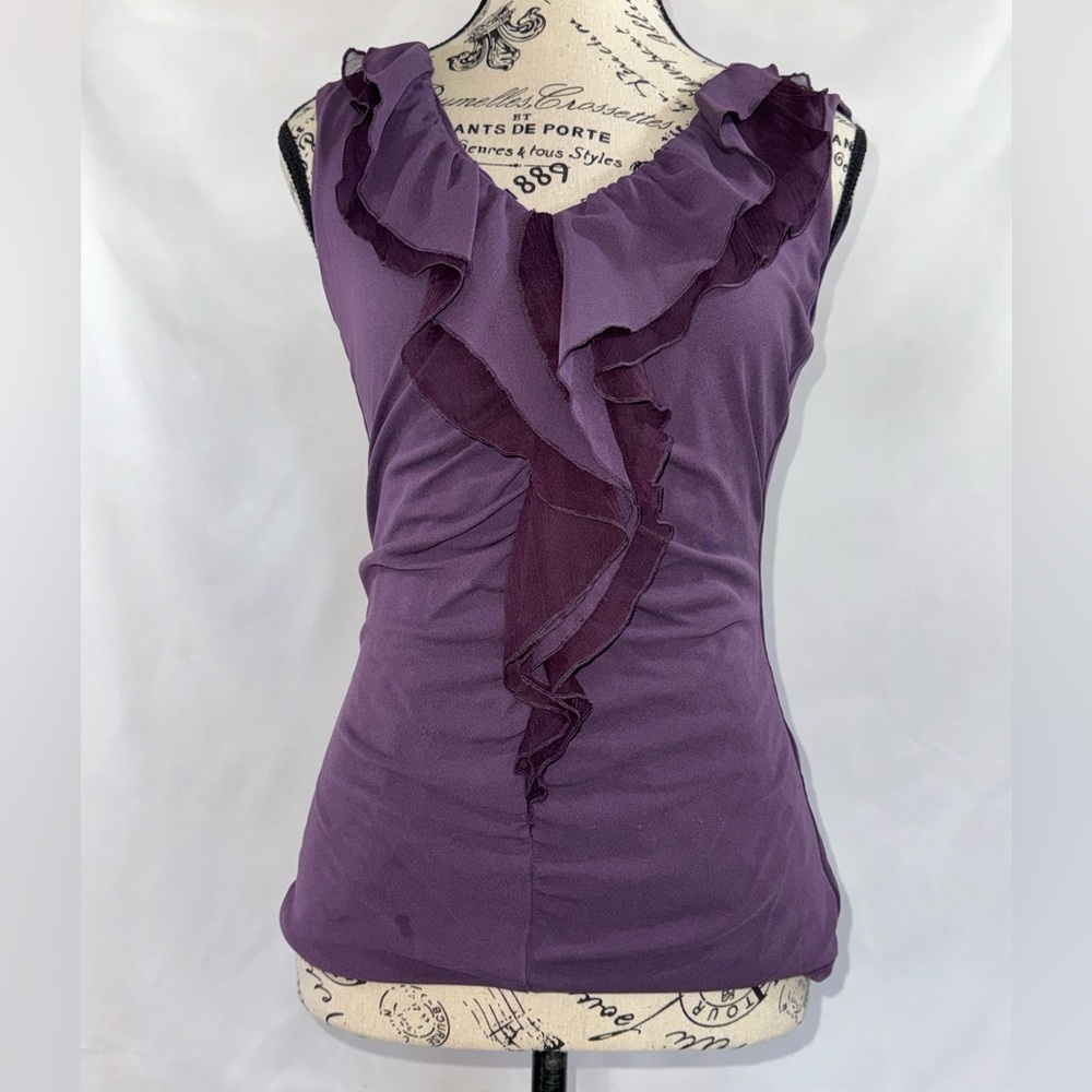 Classiques Entier: Gorgeous Purple V-neck Ruffle Blouse